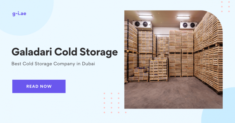 Best Cold Storage Company in Dubai