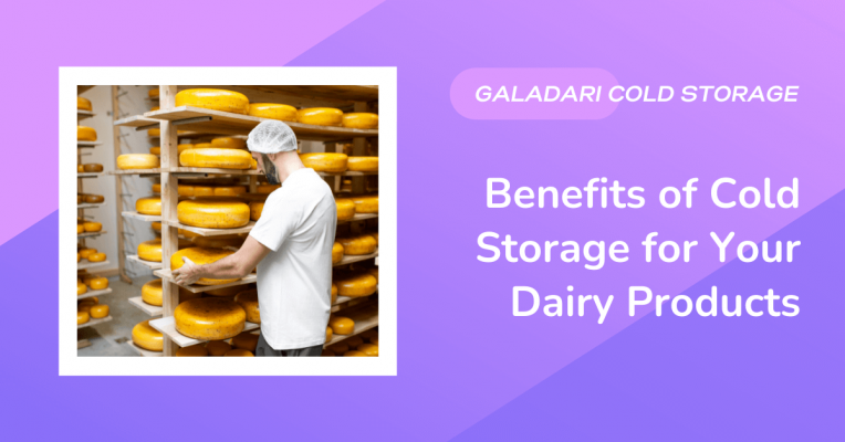 Benefits of Cold Storage for Your Dairy Products